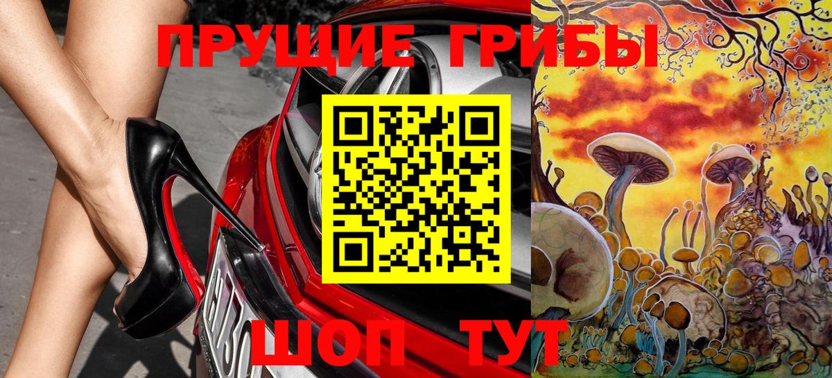 Псилоцибиновые грибы GOLDEN TEACHER  Вход с VPN  Видное  Галлюциногенные грибы GOLDEN TEACHER 