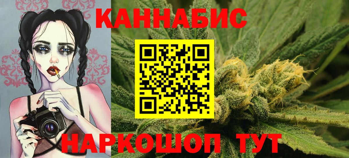 Марихуана сатива  Канабис AK-47  Конопля план  Видное  Вход с VPN 